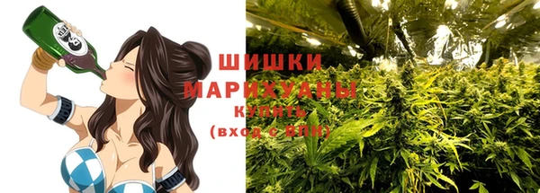 МДПВ Дмитров