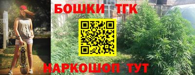 гидра Гатчина