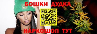 гидра Гатчина