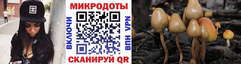 Псилоцибиновые грибы Magic Shrooms Десногорск