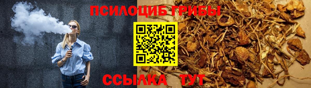 Галлюциногенные грибы мухоморы Десногорск